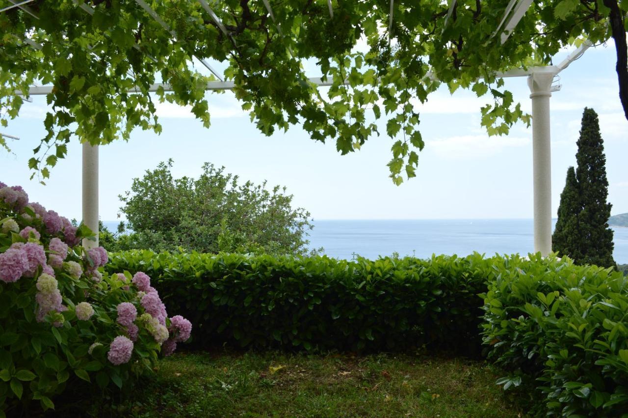 Apartments Spilan Mlini Εξωτερικό φωτογραφία
